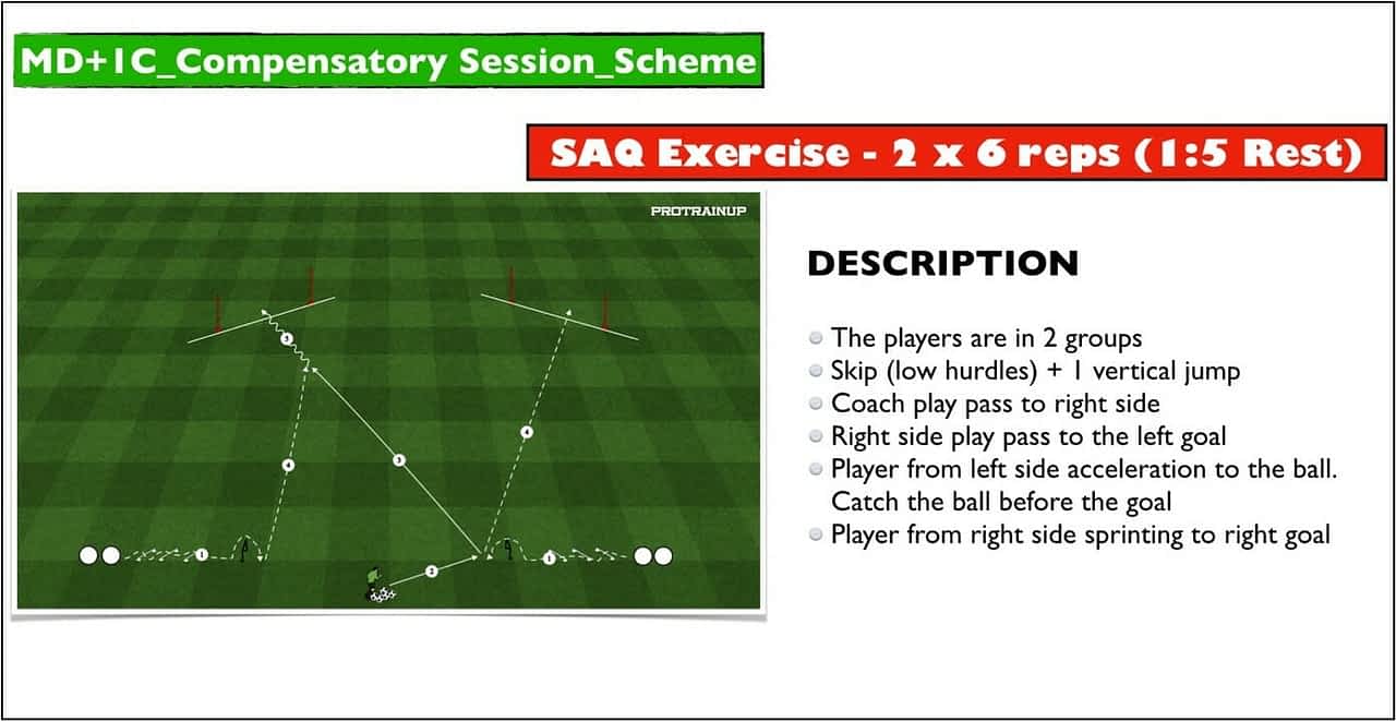 long term athletic development